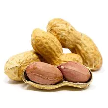 Wholesale Long Raw Peanuts with cheap price