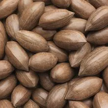 Pecan Nuts and Ogbono Nuts for sale this September