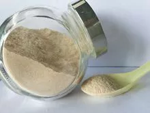 Citrus & Apple Pectin powder, E440, CAS no.9000-69-5