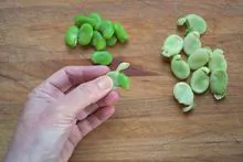 Favas descascadas e fava disponíveis. Pré-encomendar agora 