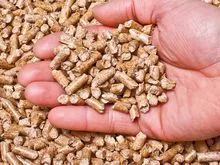 Peanut Pellet Shell - Pellets