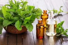 Essential Oil - 100% Pure Natural Peppermint Oil 