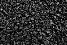 Pet coal