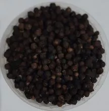 Black pepper in grains
