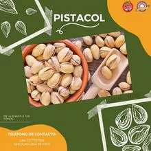 Pistachio