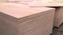 PLYWOOD FROM ASIA