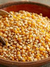 Semillas de palomitas de maíz / granos de palomitas de maíz