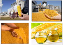 imagem dos produtos