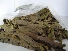 PROPOLIS VERDE EN LA NATURALEZA 