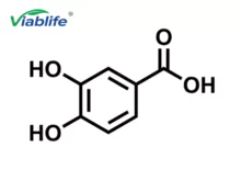 Protocatechuic Acid-PPMSAM
