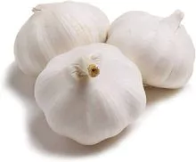 White Fresh Garlic Available for 2020