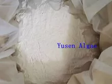 imagem dos produtos