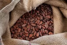 Granos de cacao crudos secos, granos de cacao fresco, café, café robusta, etc. para la venta