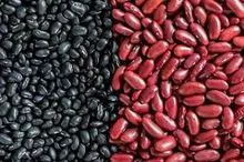 Frijoles rojos/frijoles rojos oscuros/frijoles blancos