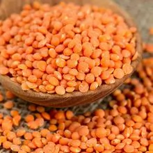 Whole Red Lentil AVailable for 2023 . Pre-Order Now