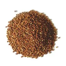 Per atacado Orgânico Amarelo Millet / Millet Preto de Primeira Série à Venda