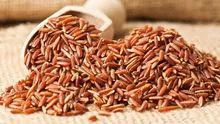 Compre arroz rojo a granel - ¡Excelentes precios!