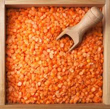 Red Lentils