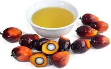 Buy Palm Kernel Oil in Bulk - Great Prices!