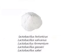 imagem dos produtos