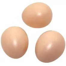  eggs