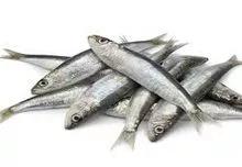 Pescado sardina