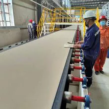  Gypsum board