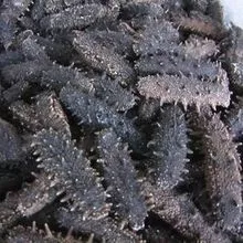 Dried Sea Cucumber