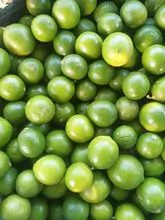 Seedless Lime