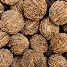 shelled walnuts for sale