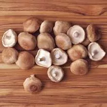 Cogumelos Shitaske