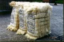 Sisal Fiber UG Grade From Kenya