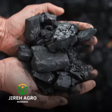 Carvão
