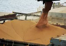 imagem dos produtos