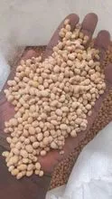 Dried Natural soybean