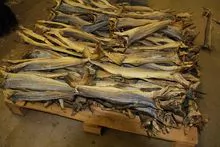 Stockfish 60/80cm Dried Cod Full Bale for Immediate Supply Haithe, Haddock Etc