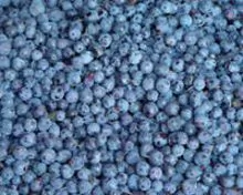 strawberries, raspberries, blackberries, etc berries
