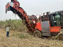 Sugarcane harvester