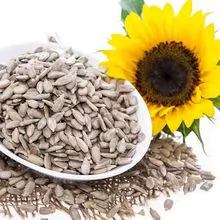 Sunflower seed on Sale . Pre-Order Now