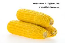 Frozen Yellow Corn From Thailand