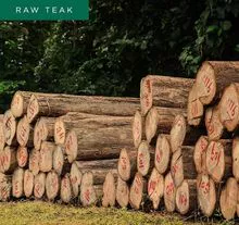 raw teak wood