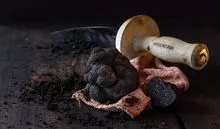 Fresh Black Truffle (tuber melanosporum)