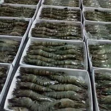 Frozen Black Tiger Shrimp (Whole Shrimp)