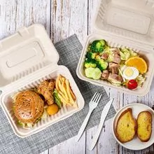 Eco-Friendly Food Package Compostable Lunch Box