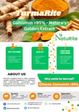 Turmeric Extract - Curcumin &gt;95%