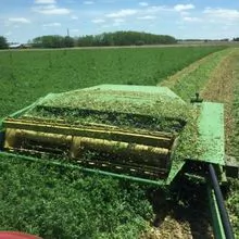 Alfalfa Hay from Europe Precio al por mayor