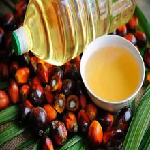 100% Palm Oil / Palm olien Oil / RBD Palm Oil