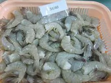 Frozen Vanamei Shrimp