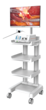 Sistema de Endoscopia 2D - VES-100