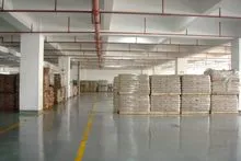 Palmitato de vitamina A 500 SD CWS/S